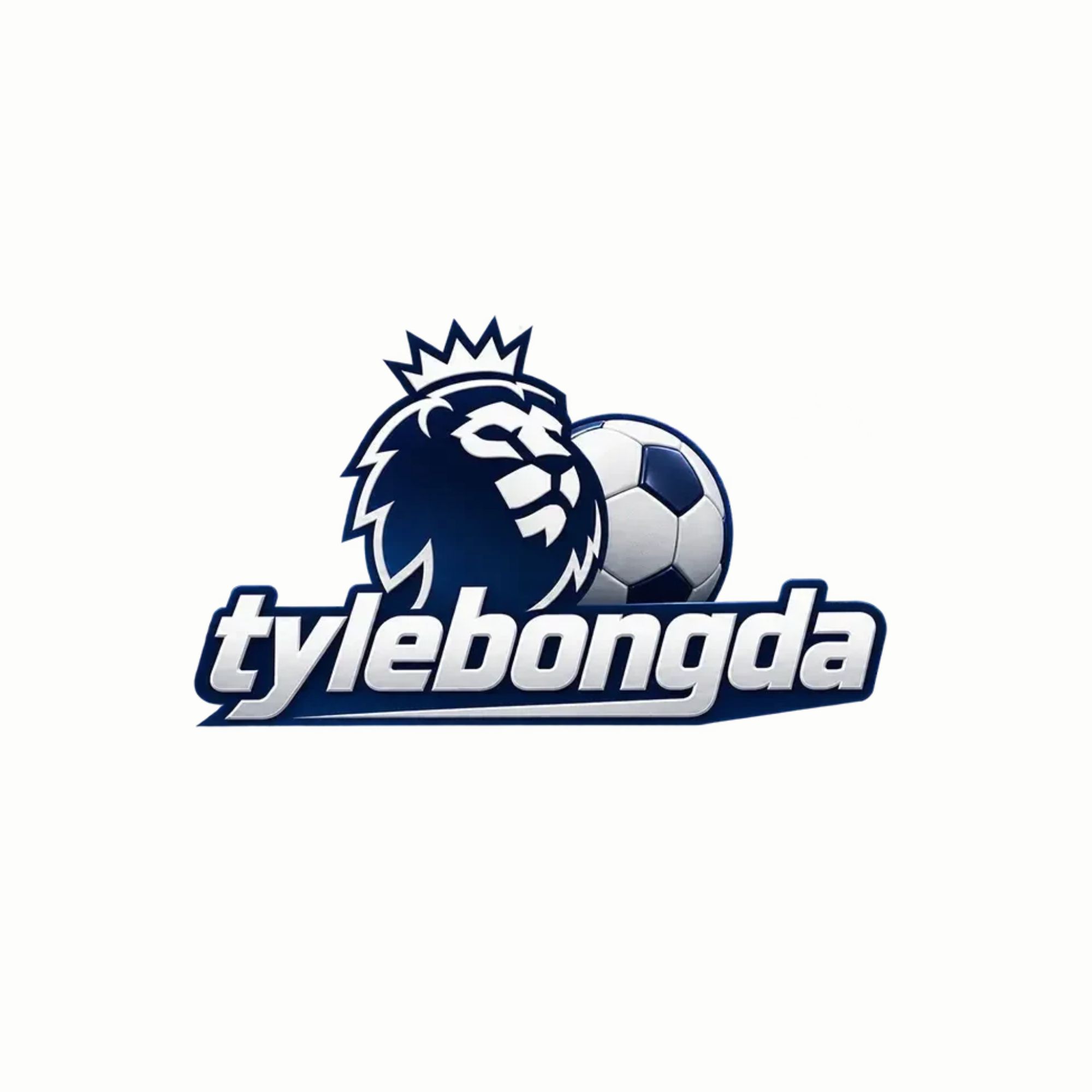 tylebongdafan